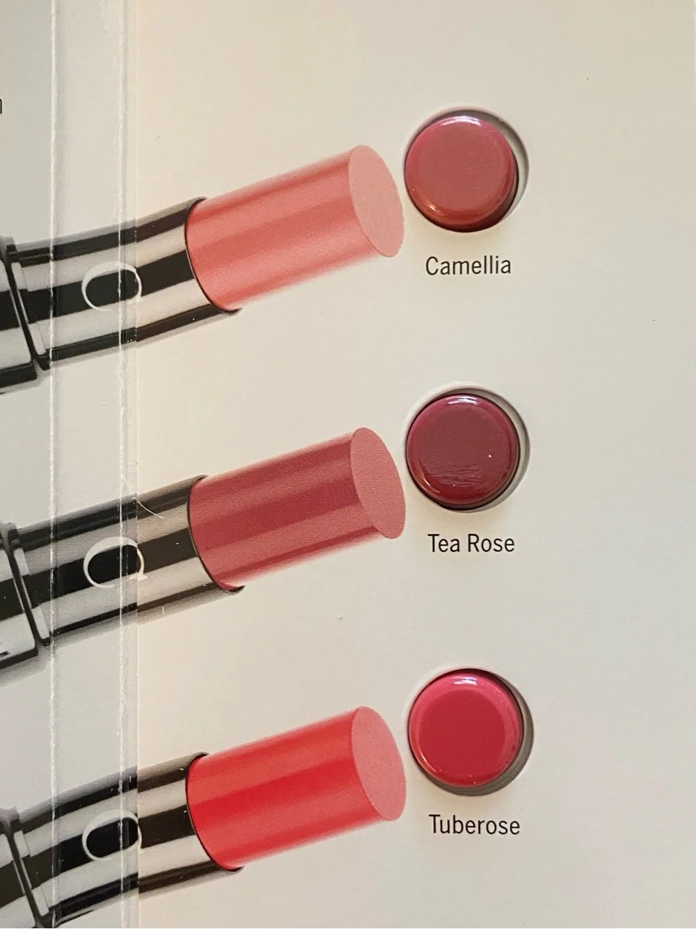 4️⃣ FOR 💲1️⃣5️⃣  💋 CHANTECAILLE Lip Chic Lipstick